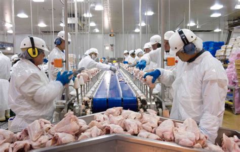 $80,000 - $95,000 a year. . Food processing plants near me